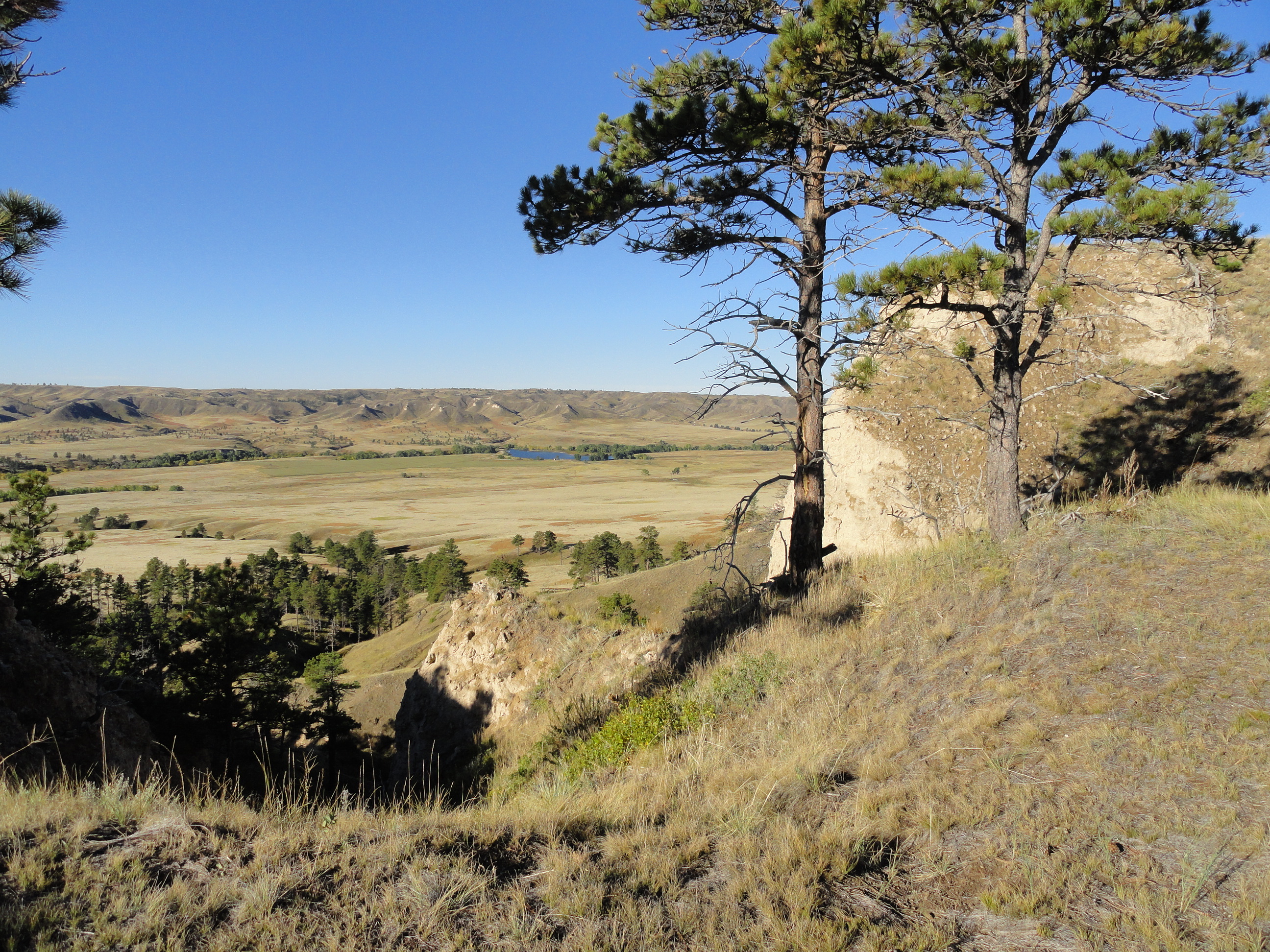 Great are the Great Plains . . . 