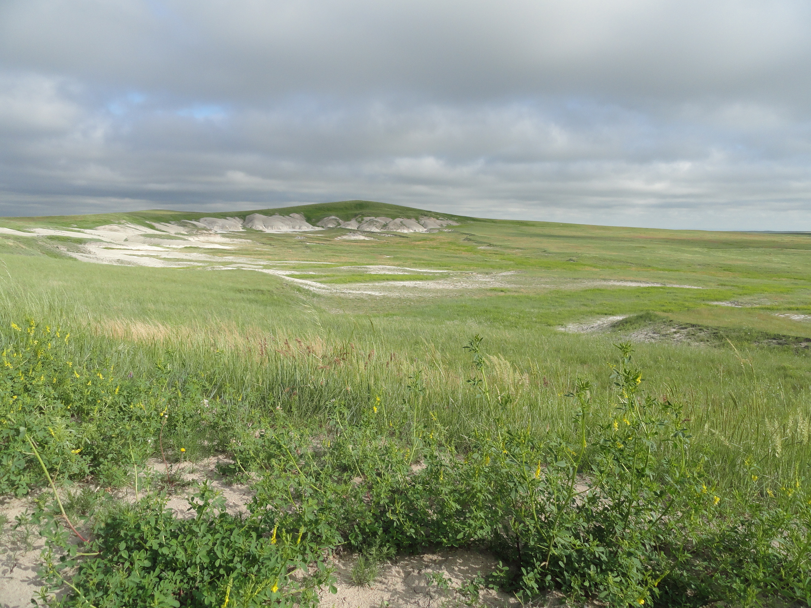 Oglala National Grassland, Nebraska